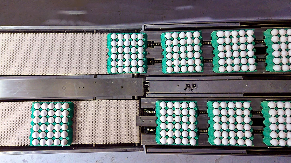 شركة الزيلعي للصناعات الزراعية المتنوعة المحدودة (زايلكو) - فرع السعودية