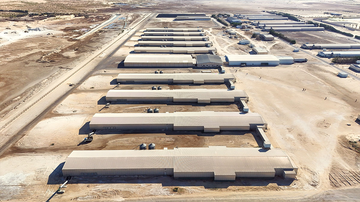 شركة الزيلعي للصناعات الزراعية المتنوعة المحدودة (زايلكو) - فرع السعودية